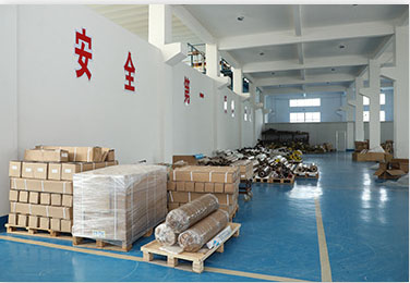 苏旋风采